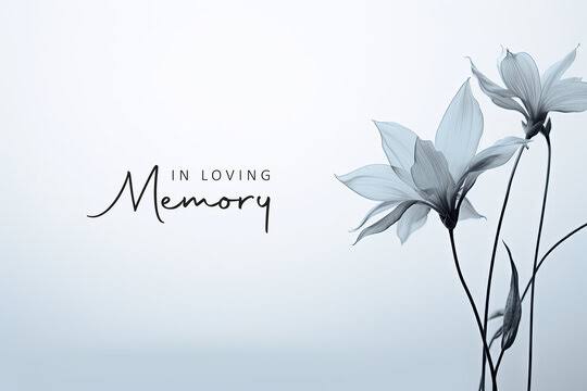 Reese Robbins Obituary, Cause of Death – Australia Resident Remembered